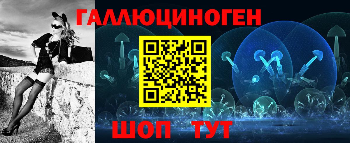 Псилоцибиновые грибы Psilocybe Астрахань