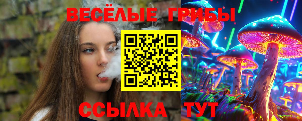 Псилоцибиновые грибы MAGIC MUSHROOMS  Псилоцибиновые грибы Psilocybine cubensis  Астрахань  Вход с VPN 